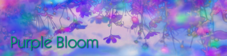Purple Bloom | Official Website